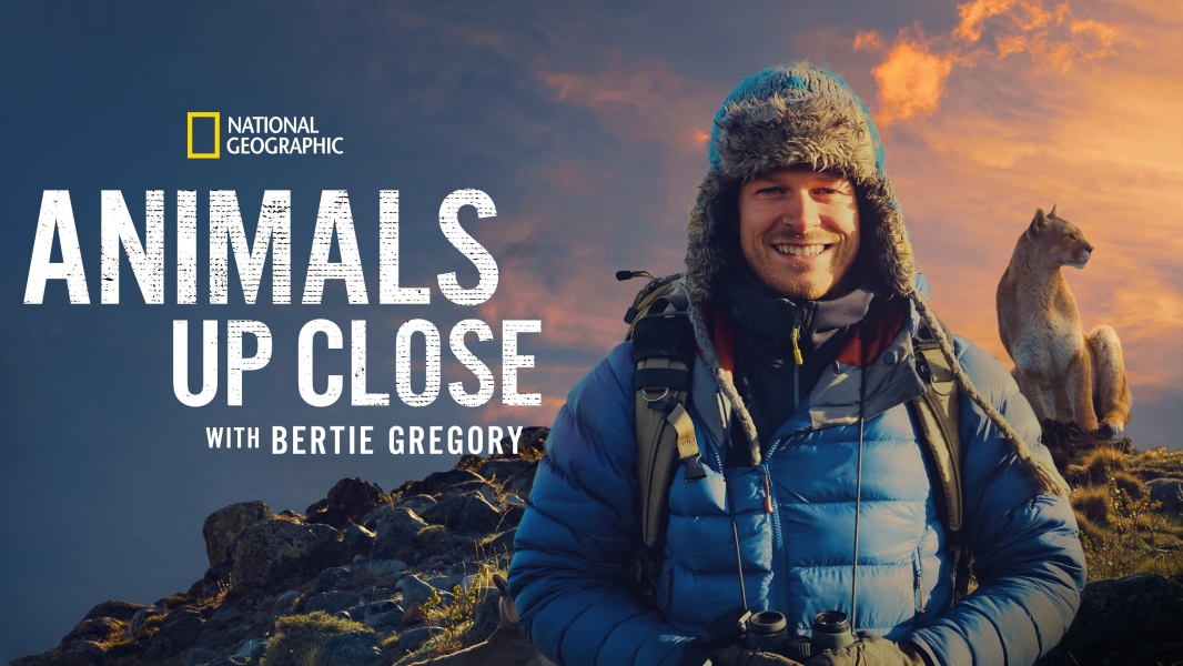 Animals Up Close with Bertie Gregory