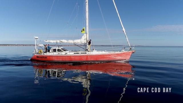 Entangled: The Race to Save Right Whales from Extinction