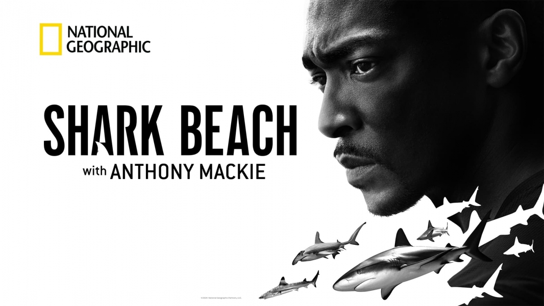 Shark Beach with Anthony Mackie