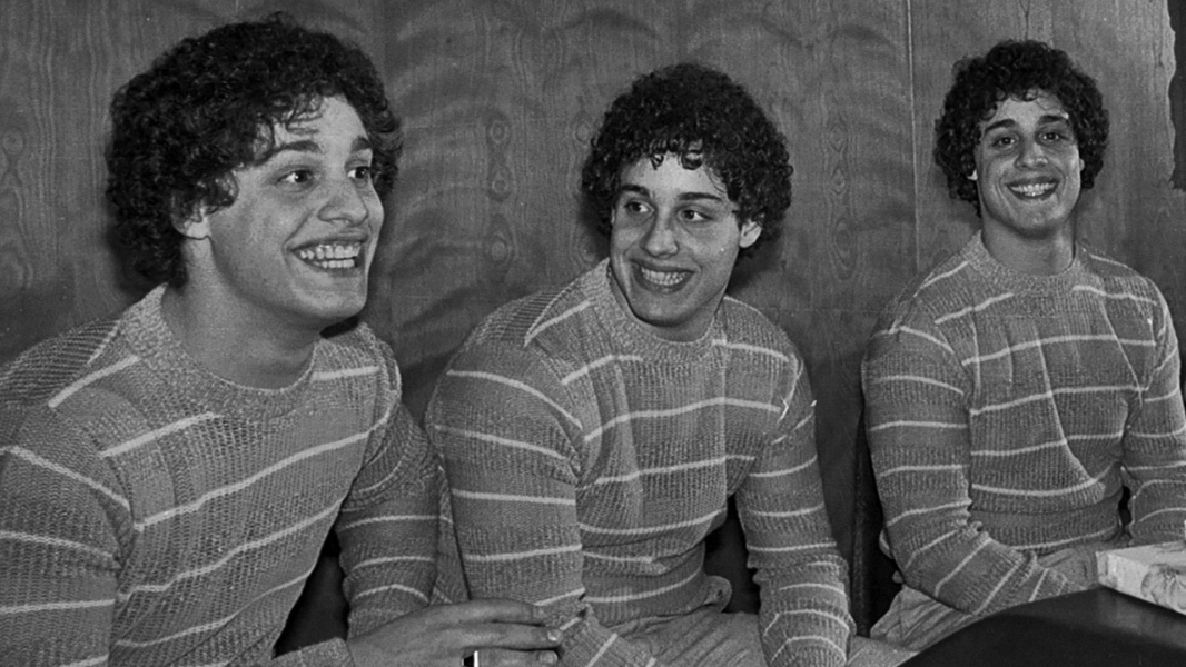 Three Identical Strangers