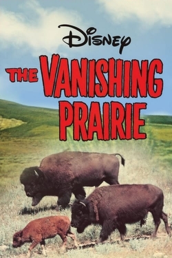 The Vanishing Prairie